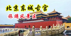 啊啊啊啊艹视频中国北京-东城古宫旅游风景区